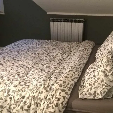 Joie De Vivre Statuto *