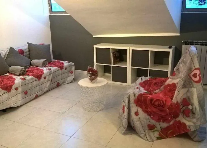 Joie De Vivre Statuto *