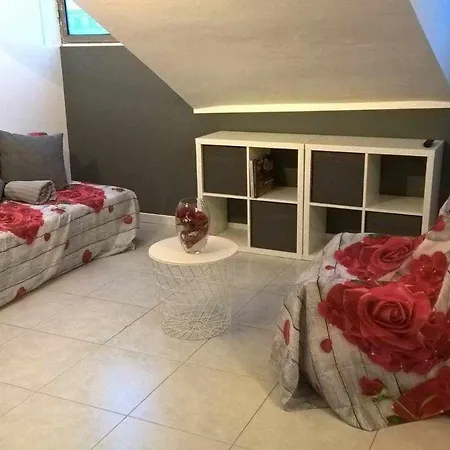 Joie De Vivre Statuto *