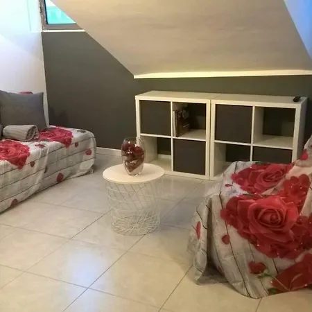 Joie De Vivre Statuto Τορίνο